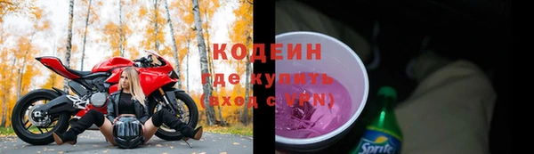 шишки Майский