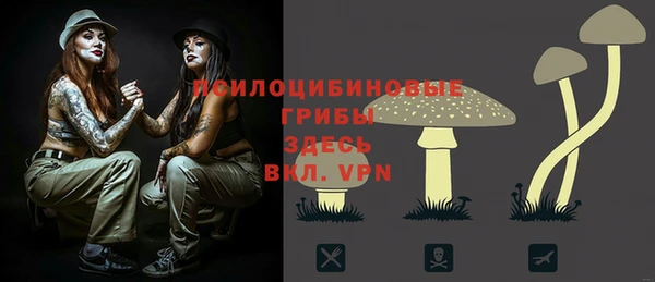 прущая мука Магас