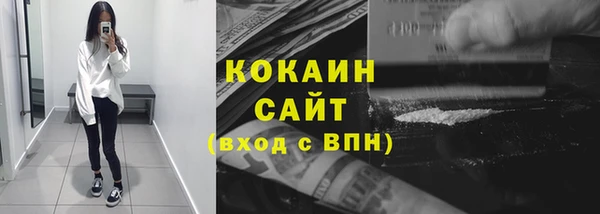 шишки Майский