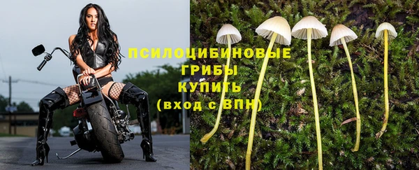 прущая мука Магас