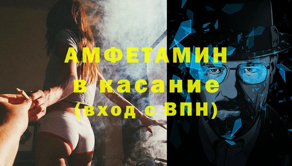шишки Майский