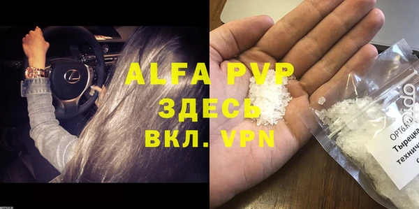 шишки Майский