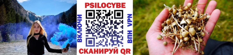 Псилоцибиновые грибы GOLDEN TEACHER  MEGA как зайти  Александров  закладки 